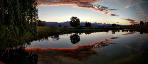 Reflection of trees in lake