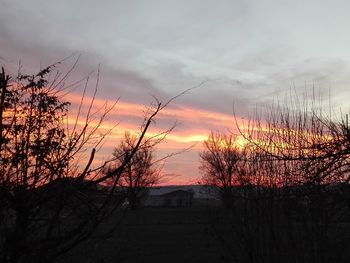 Silhouette bare trees by building against sky during sunset