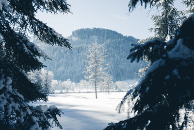 Scenic view of snow covered mountains against sky