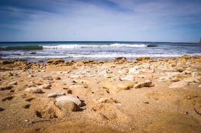 Scenic view of beach against sky