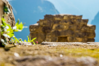 Close-up of rock by building against sky