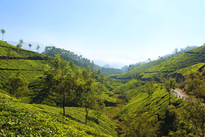 Scenic view of green landscape and mountains against sky