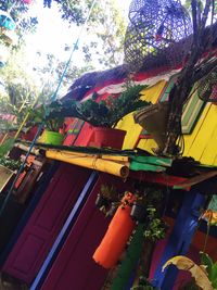 Colorful umbrellas hanging on tree