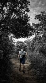 Full length rear view of man walking in forest