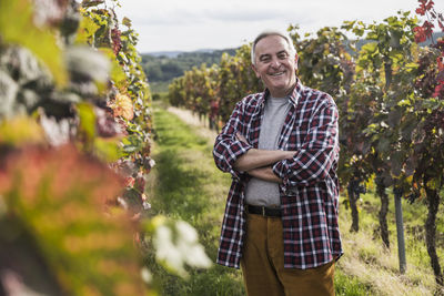 Smiling senior farmer with arms crossed amidst vineyard