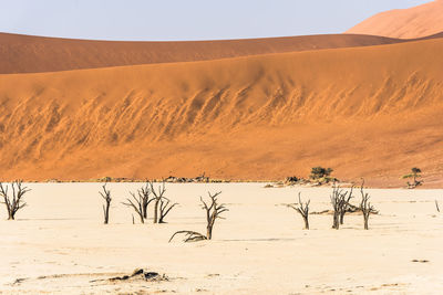 Scenic view of desert against sky