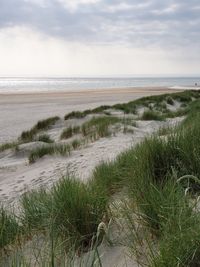 Scenic view of beach against sky