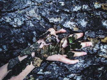 High angle view of people in water