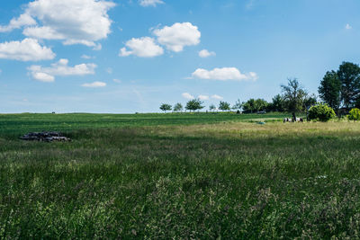 Scenic view of field against sky