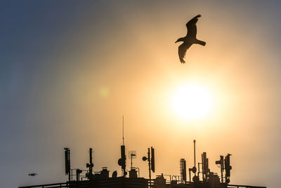 Low angle view of silhouette birds flying against sky during sunset