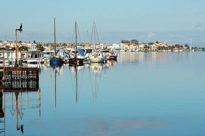 Sailboats moored at harbor against clear sky