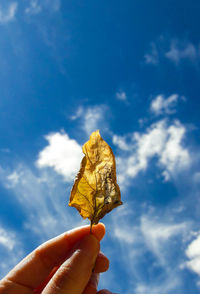 Close-up of hand holding autumn leaf against sky