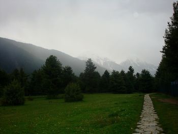 Scenic view of green landscape and mountains against sky