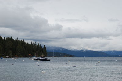 Sailboats in sea against sky