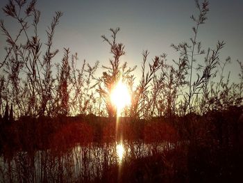 Sunset over lake