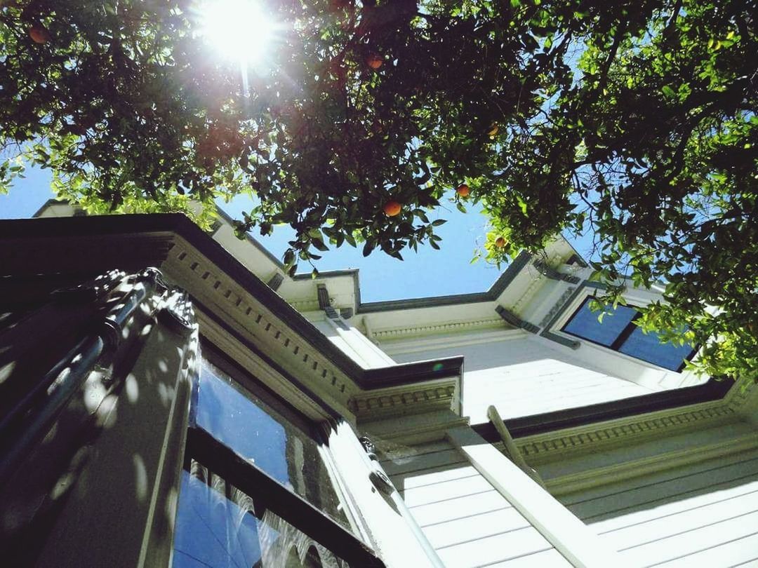 built structure, tree, architecture, sunlight, plant, building exterior, low angle view, nature, sky, no people, day, building, sunbeam, outdoors, sun, sunny, text, lens flare, house, roof