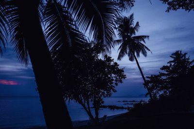 Silhouette palm tree by sea against sky