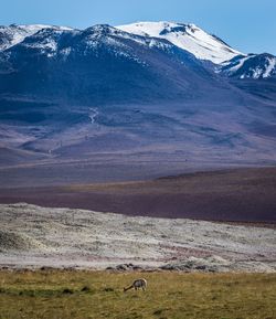 Scenic view of snowcapped mountain