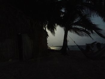 Silhouette palm trees against sky at night