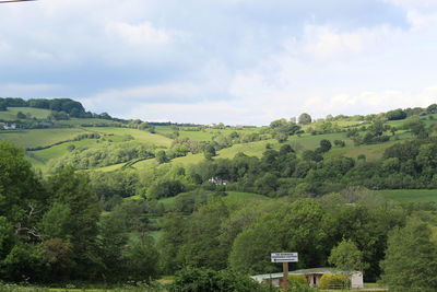 Scenic view of trees on field against sky