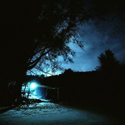 Silhouette trees by road against sky at night