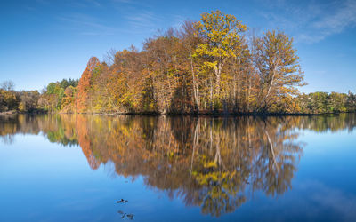Panoramic image of beautiful and idyllic bensberg lake, bergisch gladbach, germany