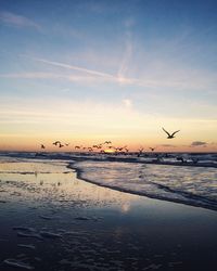 Scenic view of sea at sunset