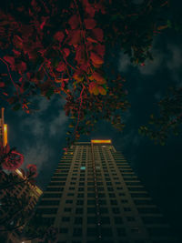 Low angle view of buildings against sky at night