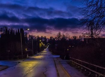 Empty road along trees