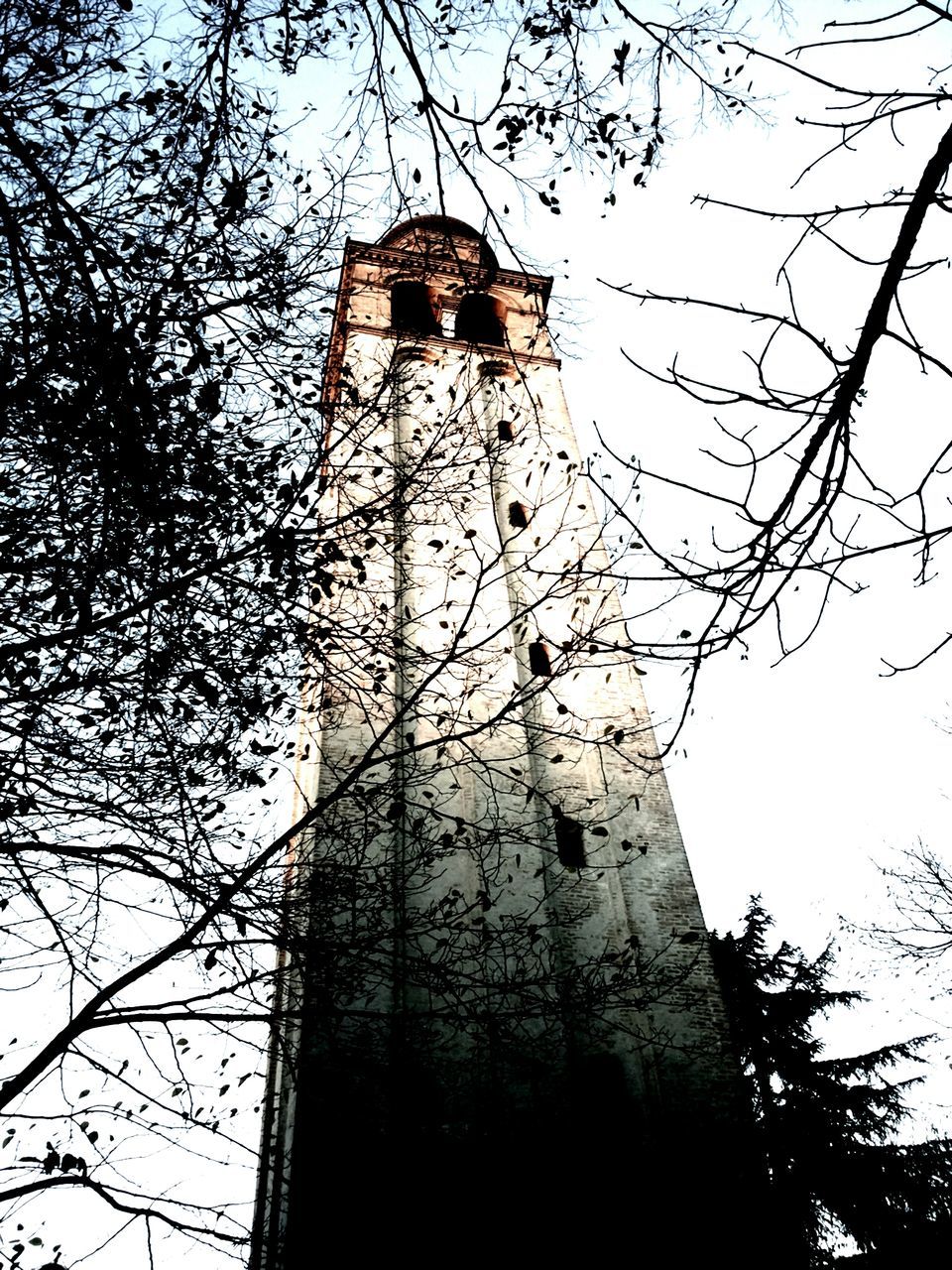 architecture, low angle view, built structure, building exterior, bare tree, tree, branch, clear sky, tower, sky, tall - high, outdoors, no people, day, silhouette, protection, building, old, safety, security