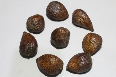 High angle view of shells on table