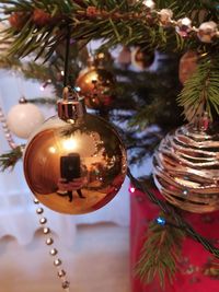 Close-up of christmas decorations hanging on tree