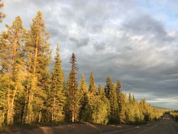 Road amidst trees against sky during autumn