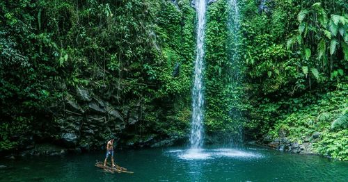 Scenic view of waterfall in forest