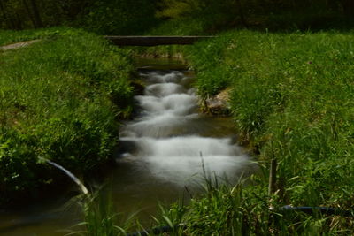 Scenic view of waterfall