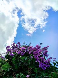 sky