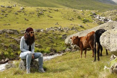 Full length of woman sitting on rock by cattle