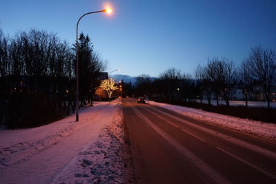 Street amidst trees against sky during winter