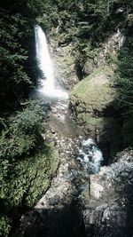 Scenic view of waterfall in forest