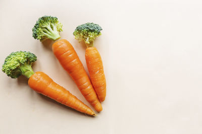 High angle view of vegetables against white background