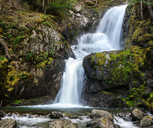 View of waterfall in forest