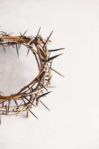 Jesus crown thorns and nails and cross on a white background. easter day
