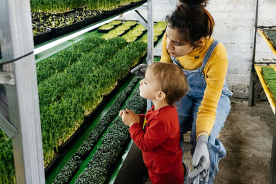 Woman with baby boy working on the indoor farm, planting microgreens. choosing seeds and watering