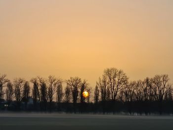 Silhouette bare trees against sky during sunset