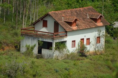 House against trees