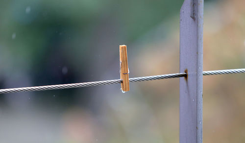 Close-up of metal fence against blurred background