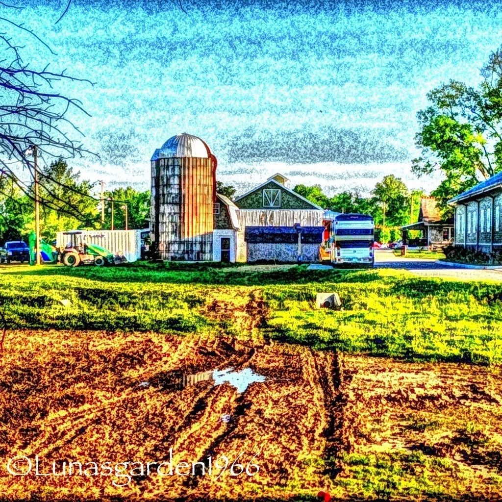 architecture, built structure, building exterior, grass, tree, sky, blue, water, incidental people, lifestyles, sunlight, day, men, leisure activity, field, house, city, nature, outdoors