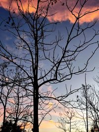 Low angle view of bare tree against sky at sunset