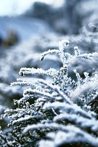 Scenic view of snow covered landscape