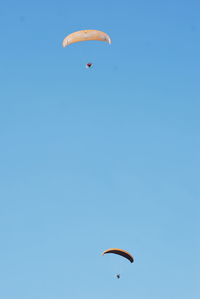 Low angle view of parachute